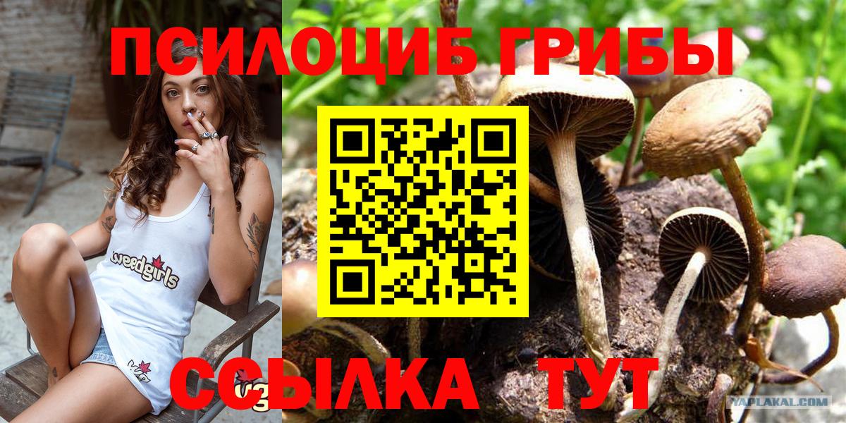Псилоцибиновые грибы MAGIC MUSHROOMS Фурманов